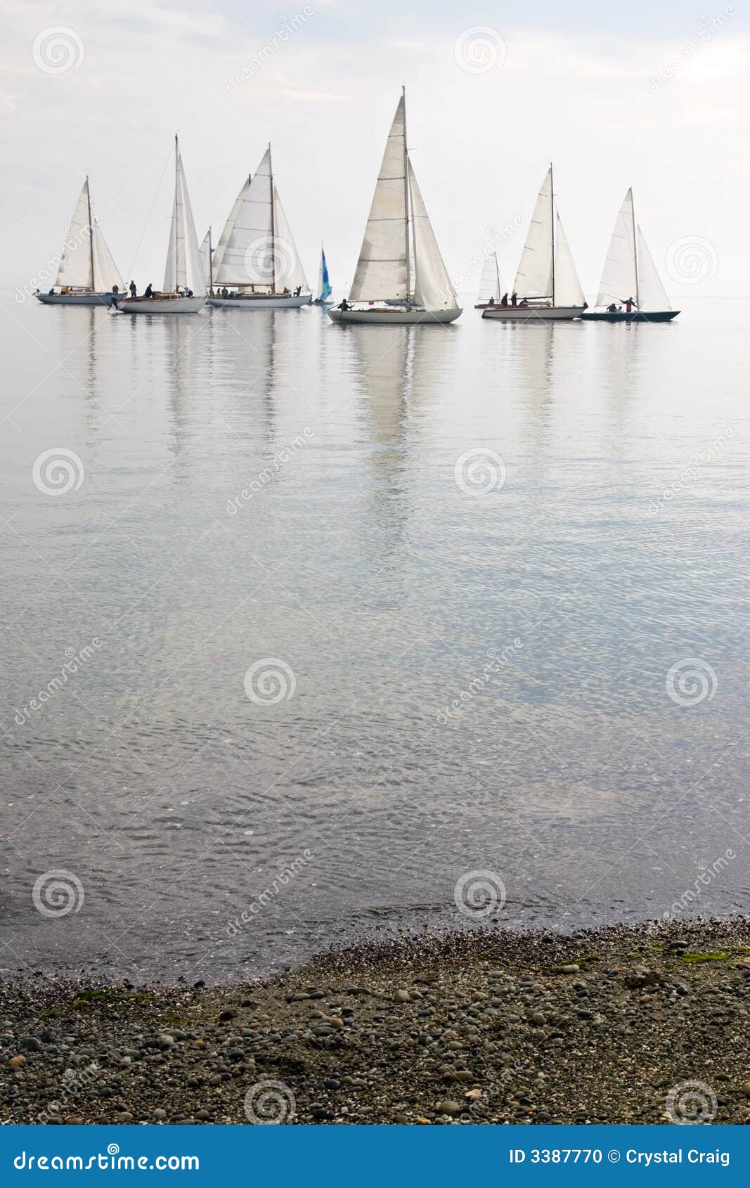 sailboats in calm water