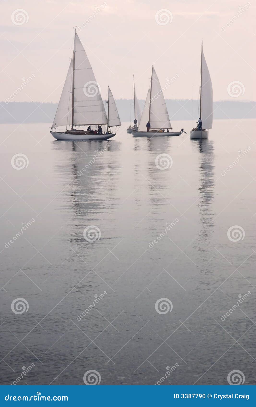 sailboats calm water fog