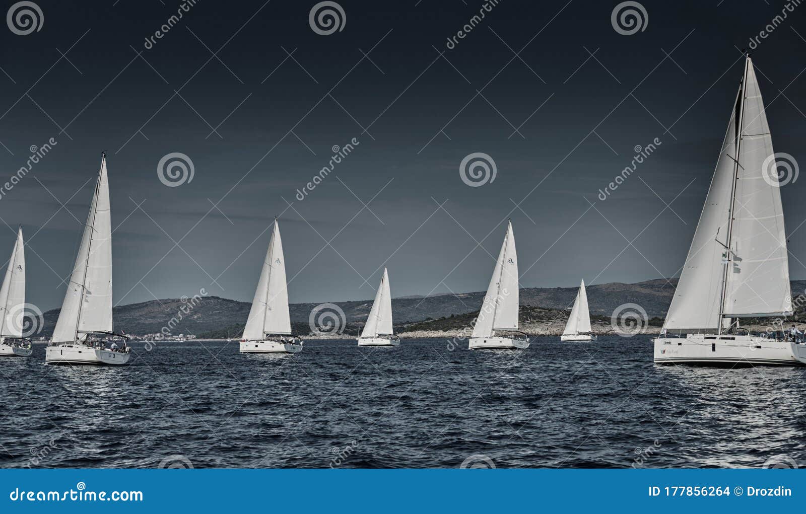 sailboats regatta