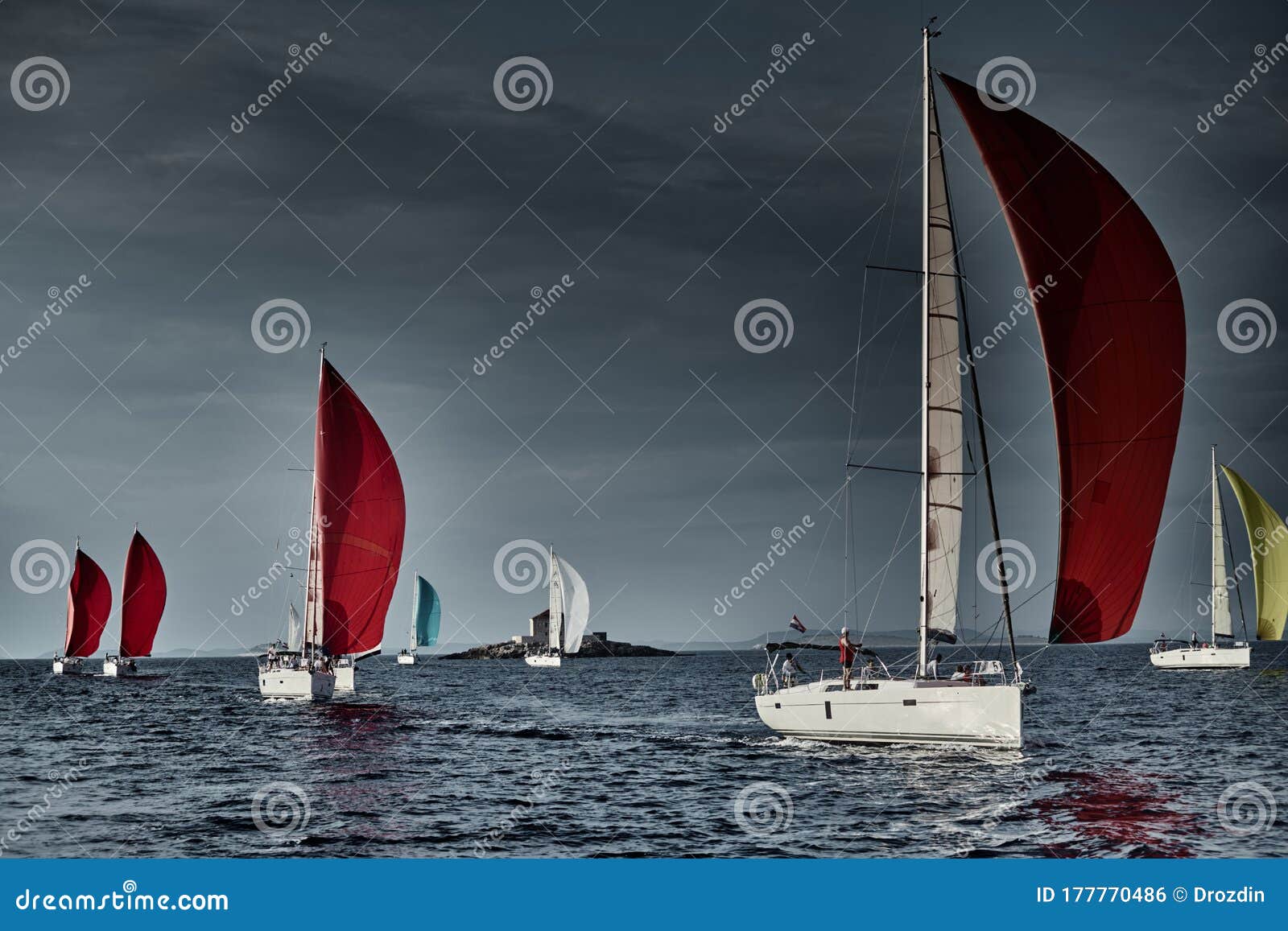 sailboats regatta