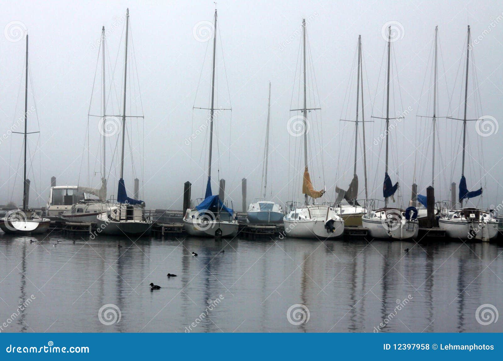 Sailboats at a Dock stock photo. Image of boat, dock 