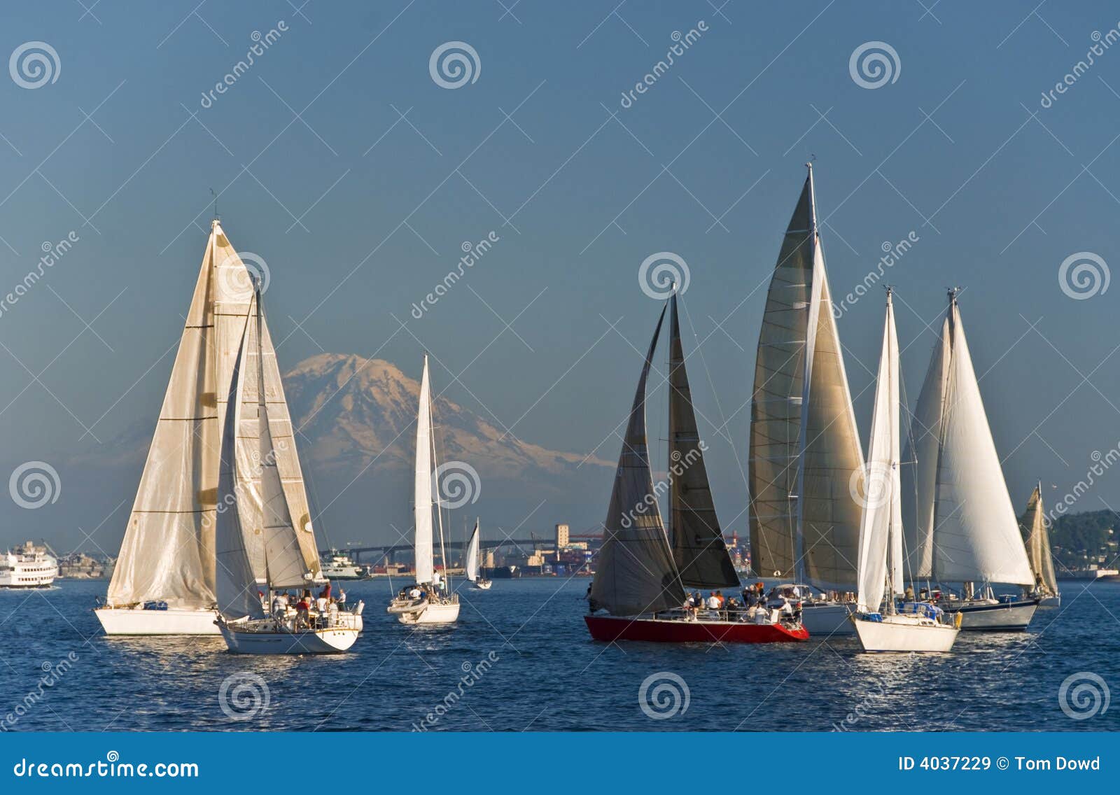 sailboats in elliot bay