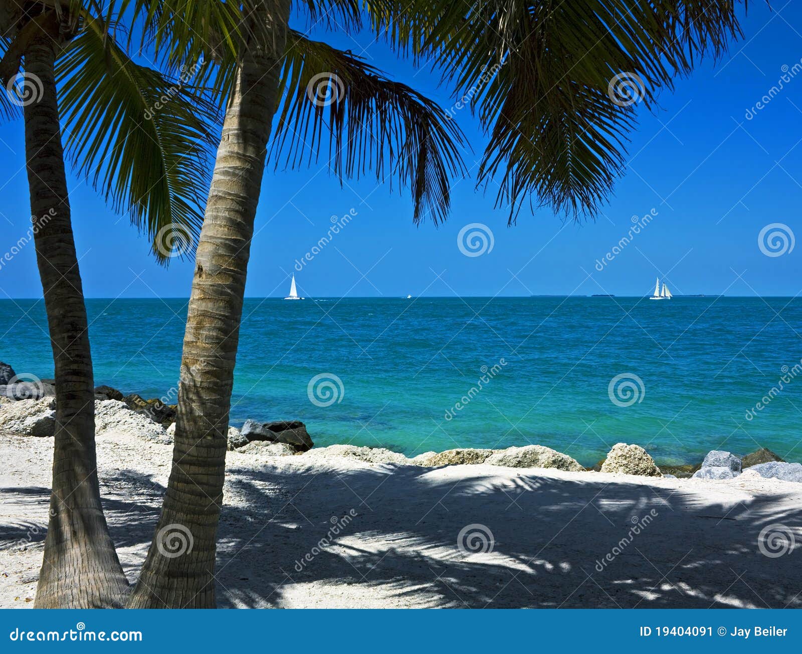 sailboats off key west