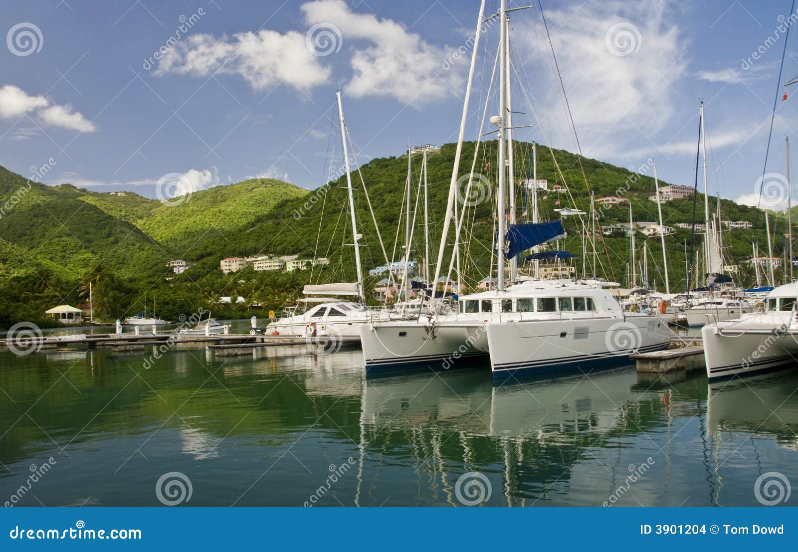 sailboats in scenic marina