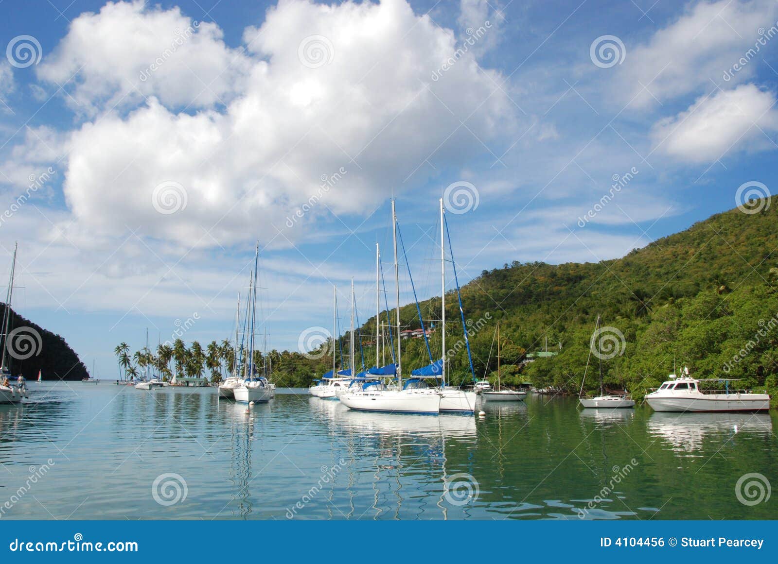 sailboats in tropical harbor