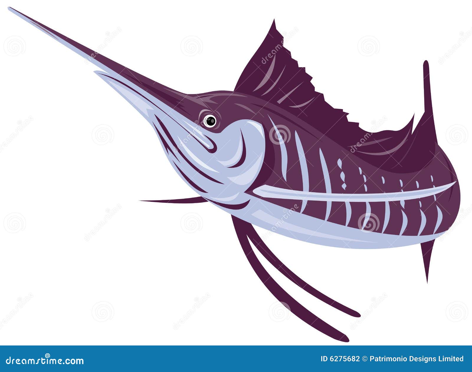 Sailfish stock vector. Illustration of single, white, background 6275682