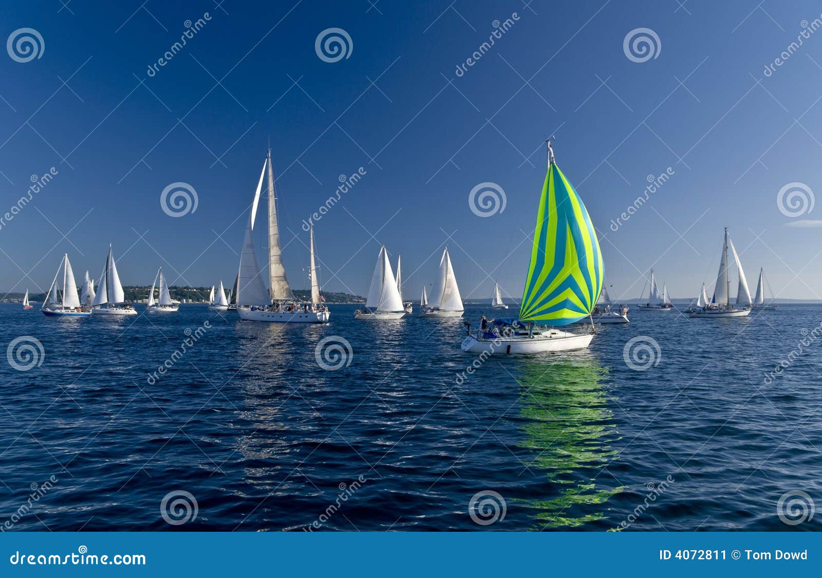 sailing boats