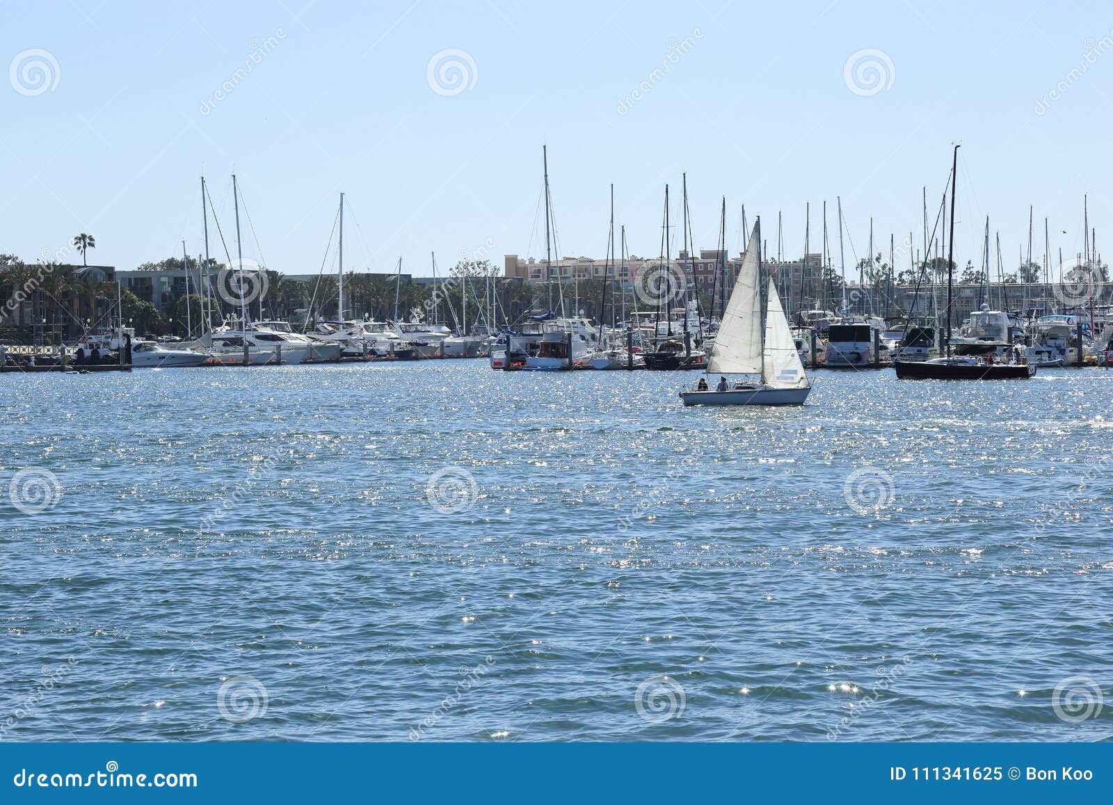 Sailing at Marina Del Rey, California Editorial Image - Image of ...