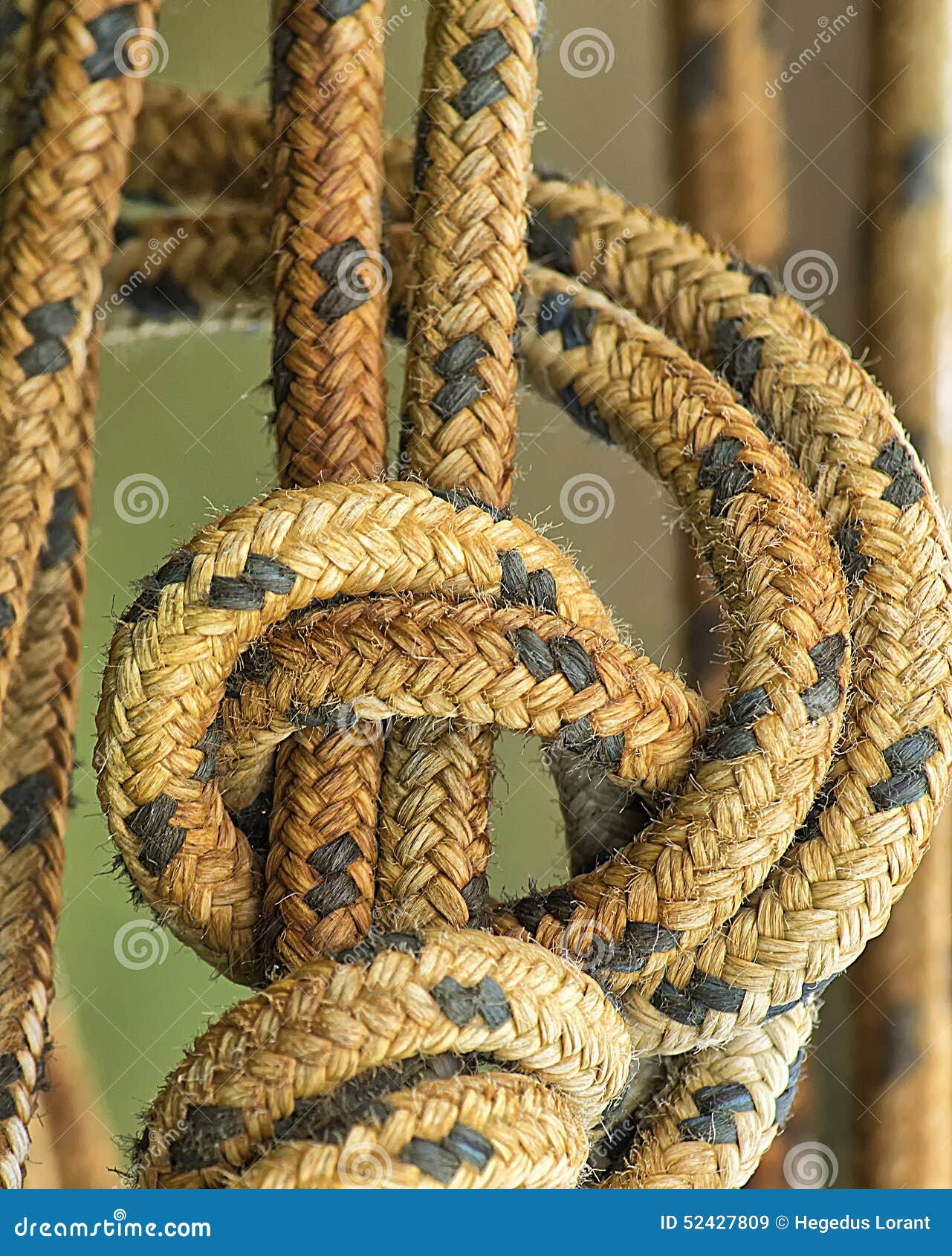 Sailing rope stock image. Image of sailor, sail, closeup 52427809
