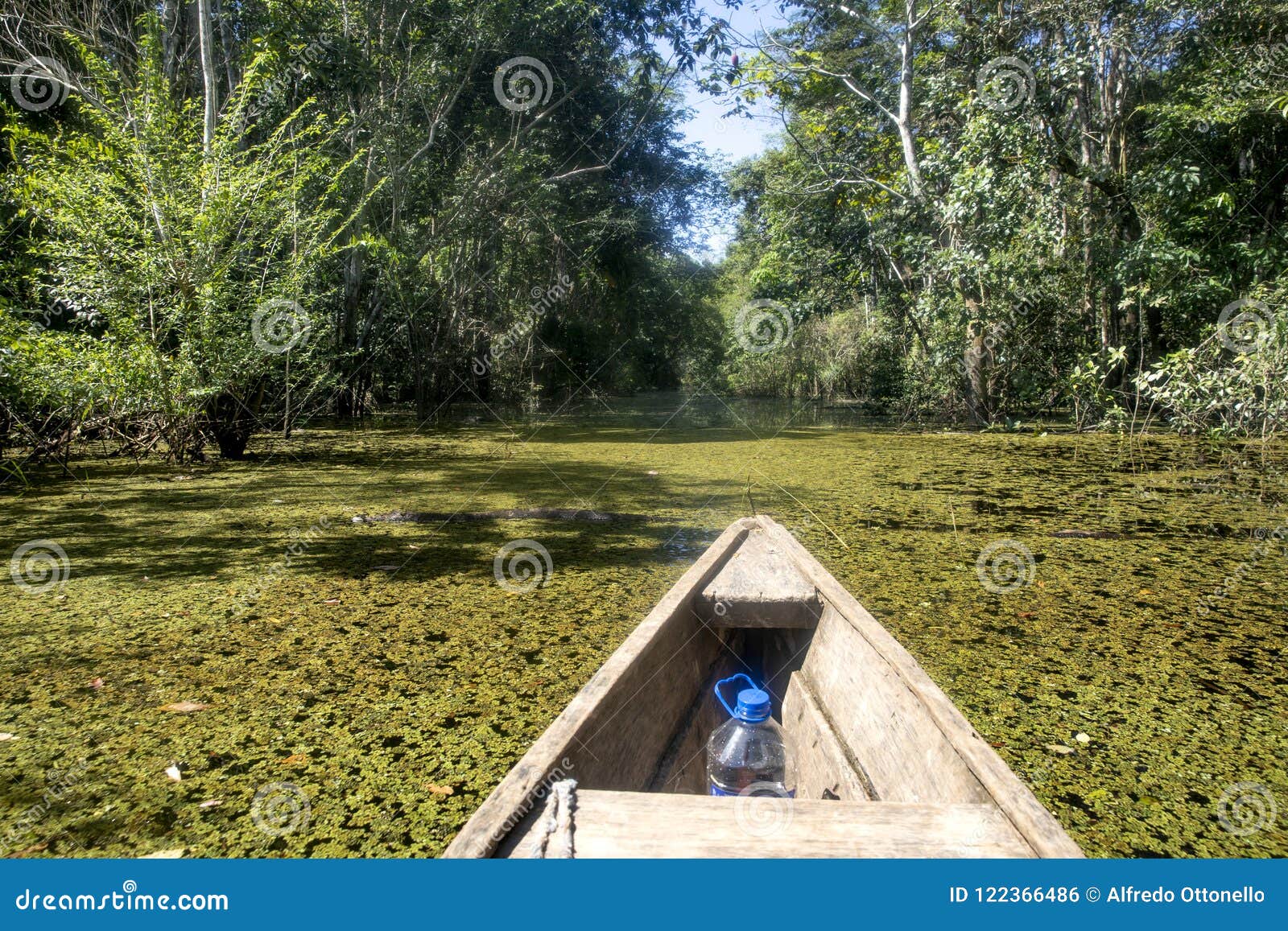 leticia - region amazonas - colombia.