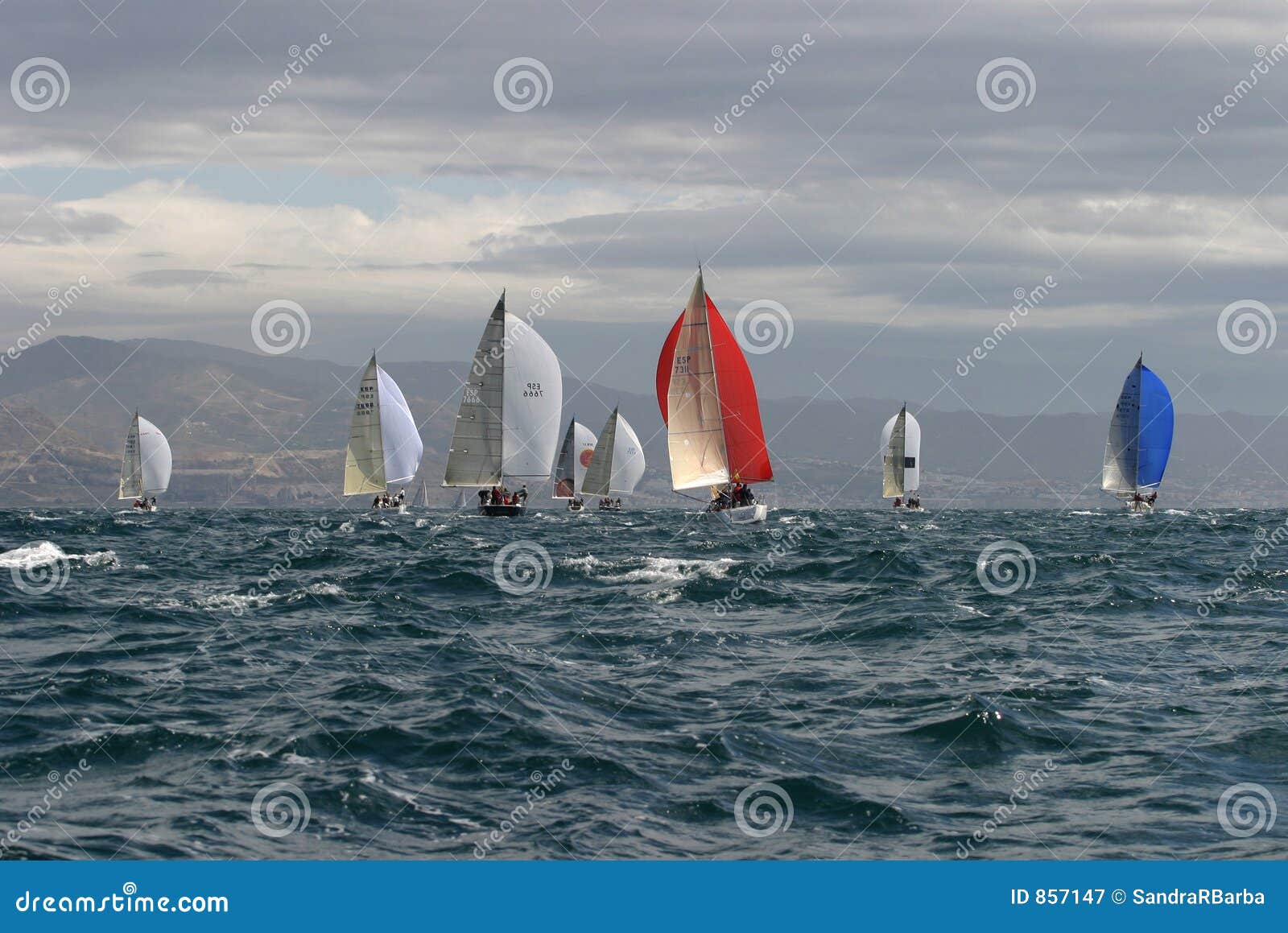 sailing, yachting #3