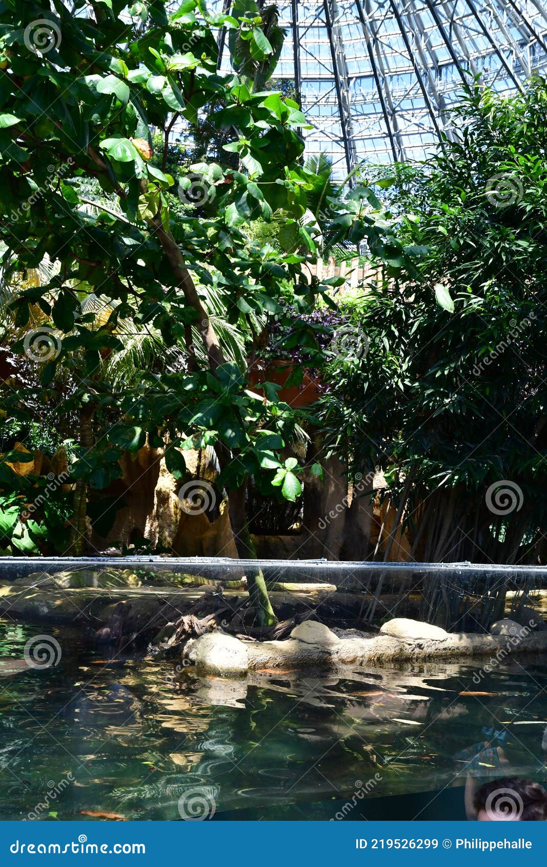 Saint Aignan; France - July 12 2020 : the Zoo Park of Beauval Editorial ...