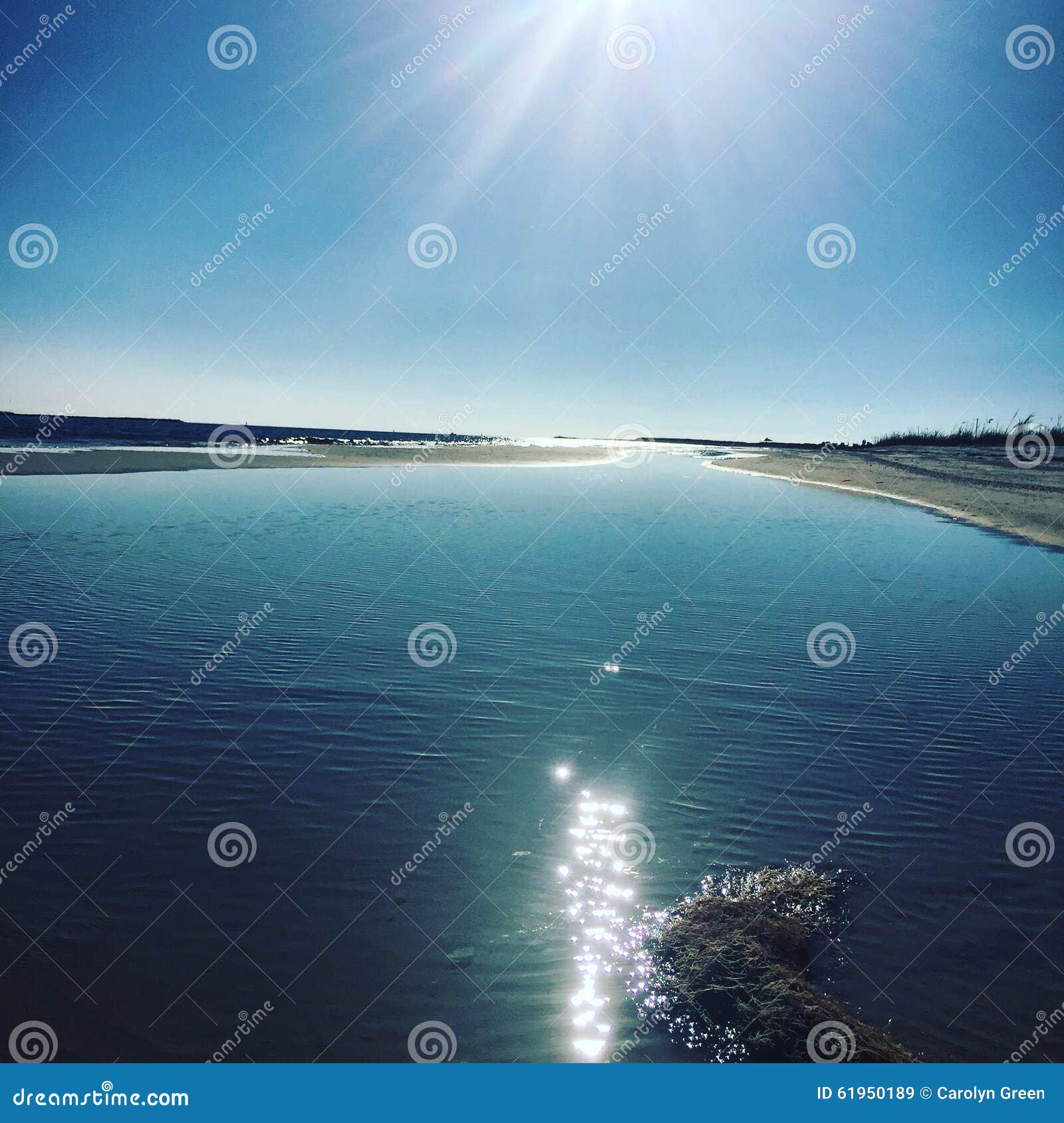My Image 27