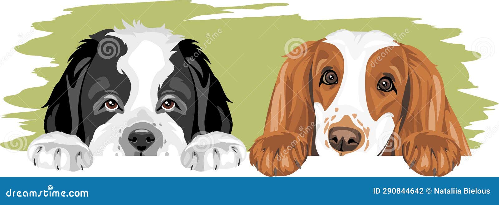 Saint Bernard Dog and Cocker Spaniel are Best Friends Stock