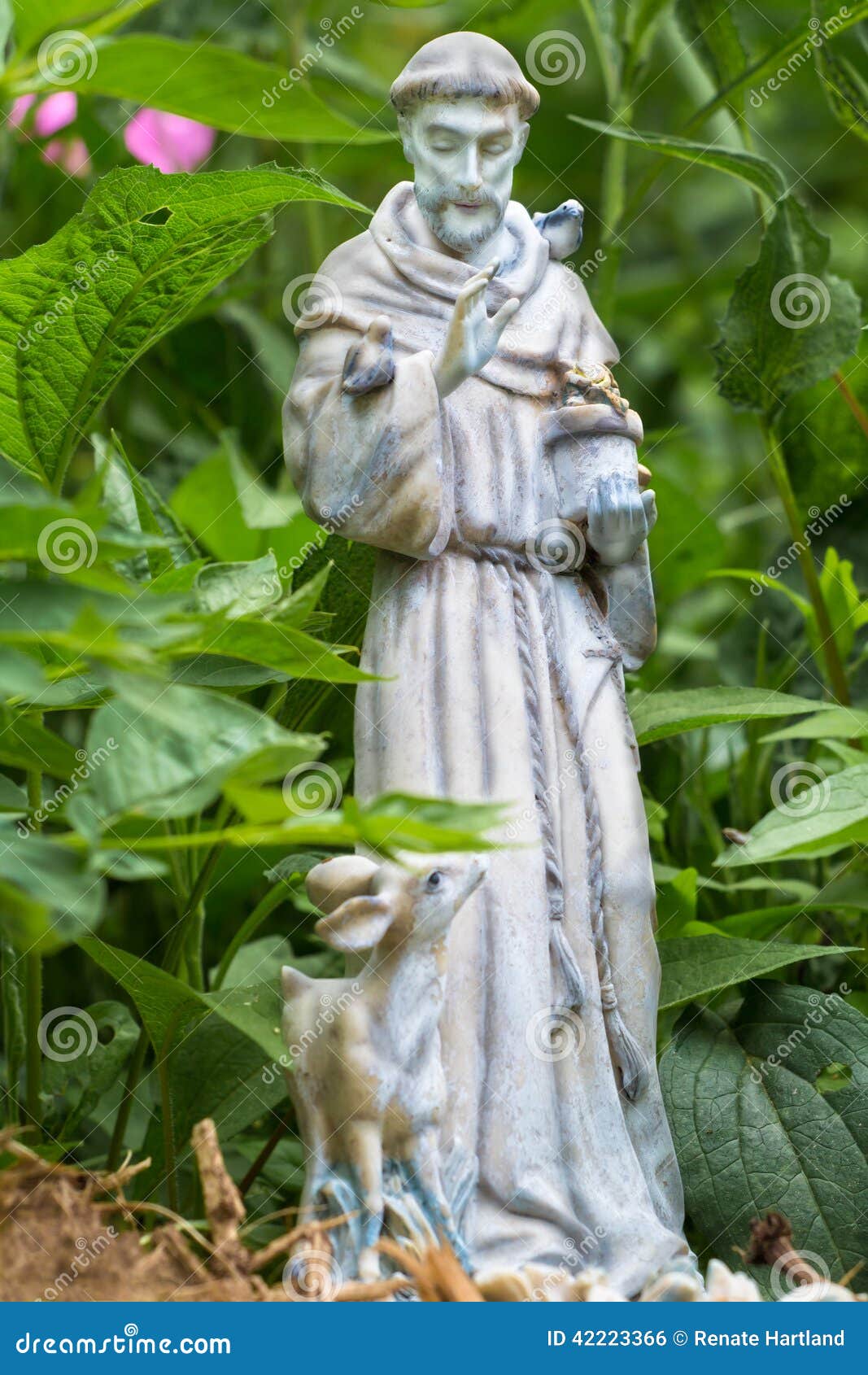 Saint Francis Of Assisi Stock Photo Image Of Protector 42223366