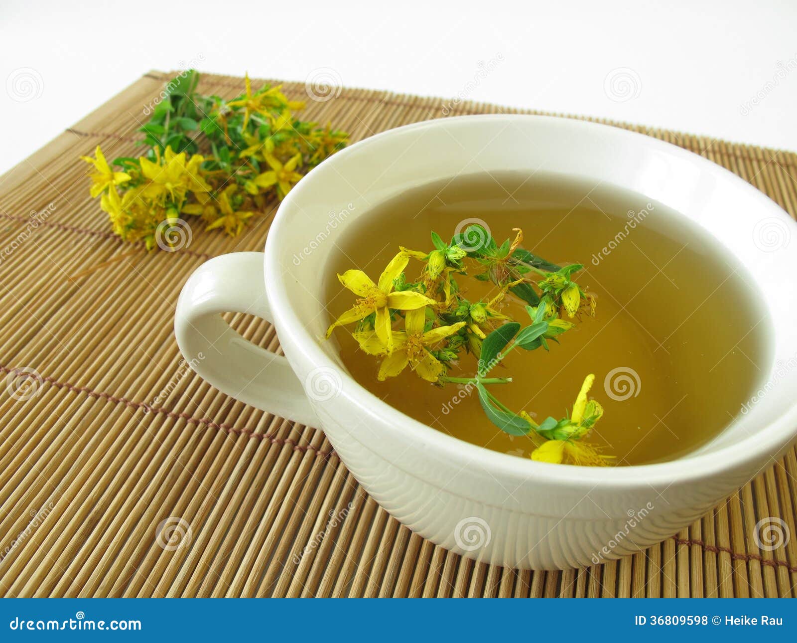 Saint John s wort tea stock photo. Image of plant, healing 36809598
