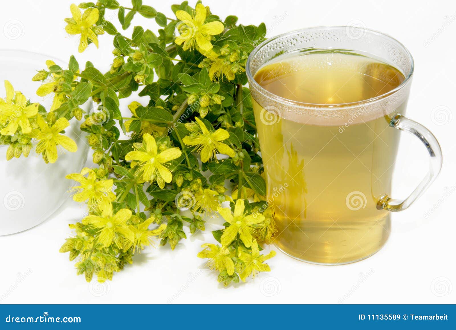 SaintJohns wort tea stock image. Image of wort, natural 11135589