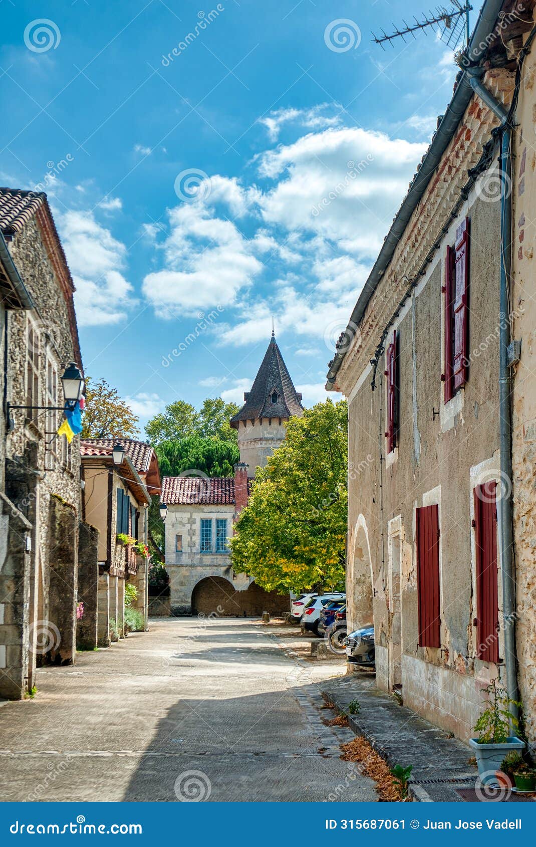 saint-justin is a town and commune in france, located in the aquitaine region, landes department, in the district of mont-de-