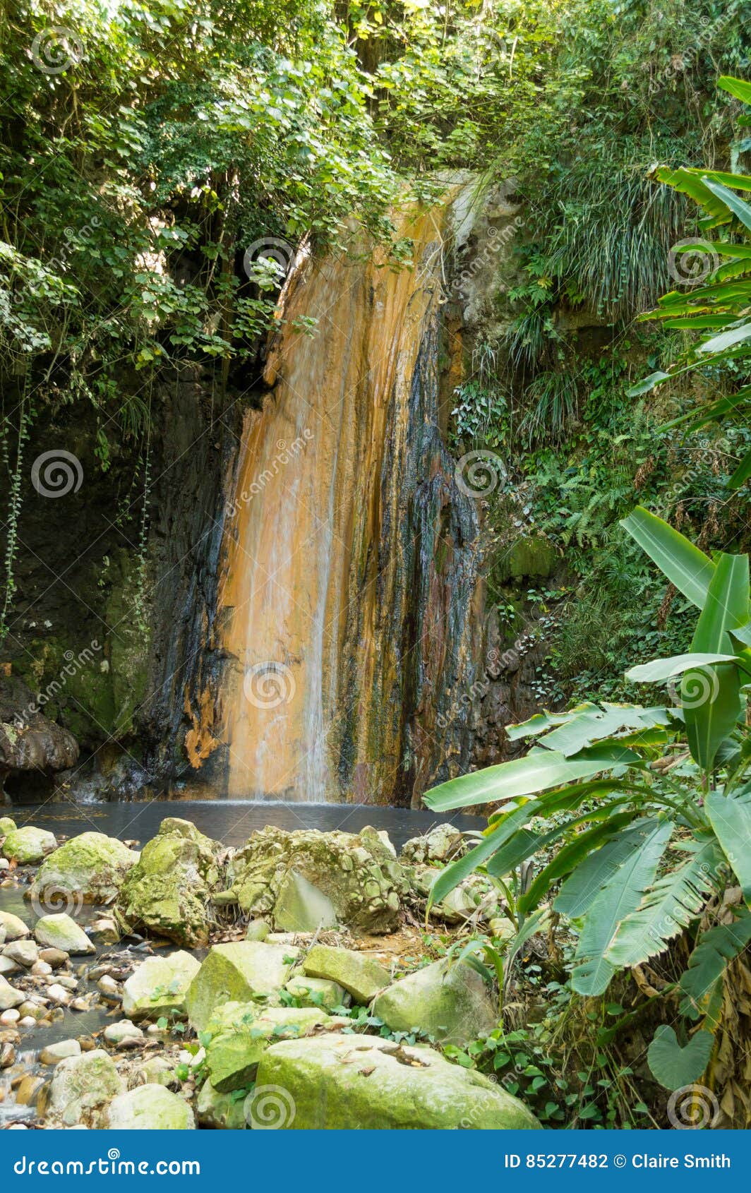 Saint Lucia Volcanic Waterfall At Diamond Botanical Gardens Stock