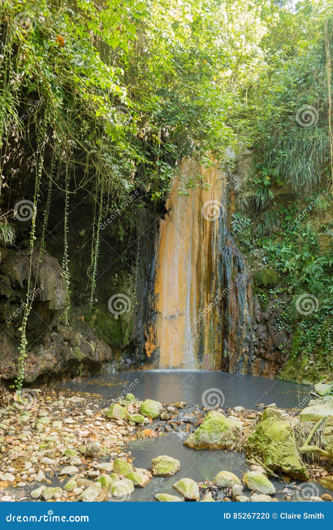Saint Lucia Volcanic Waterfall At Diamond Botanical Gardens Stock