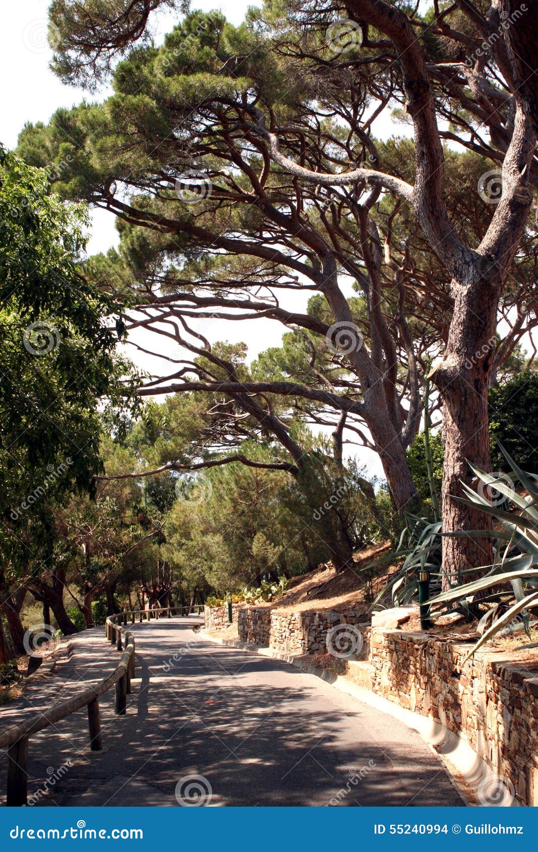 Saint-Tropez Citadel Path French Riviera Stock Photo - Image of ...