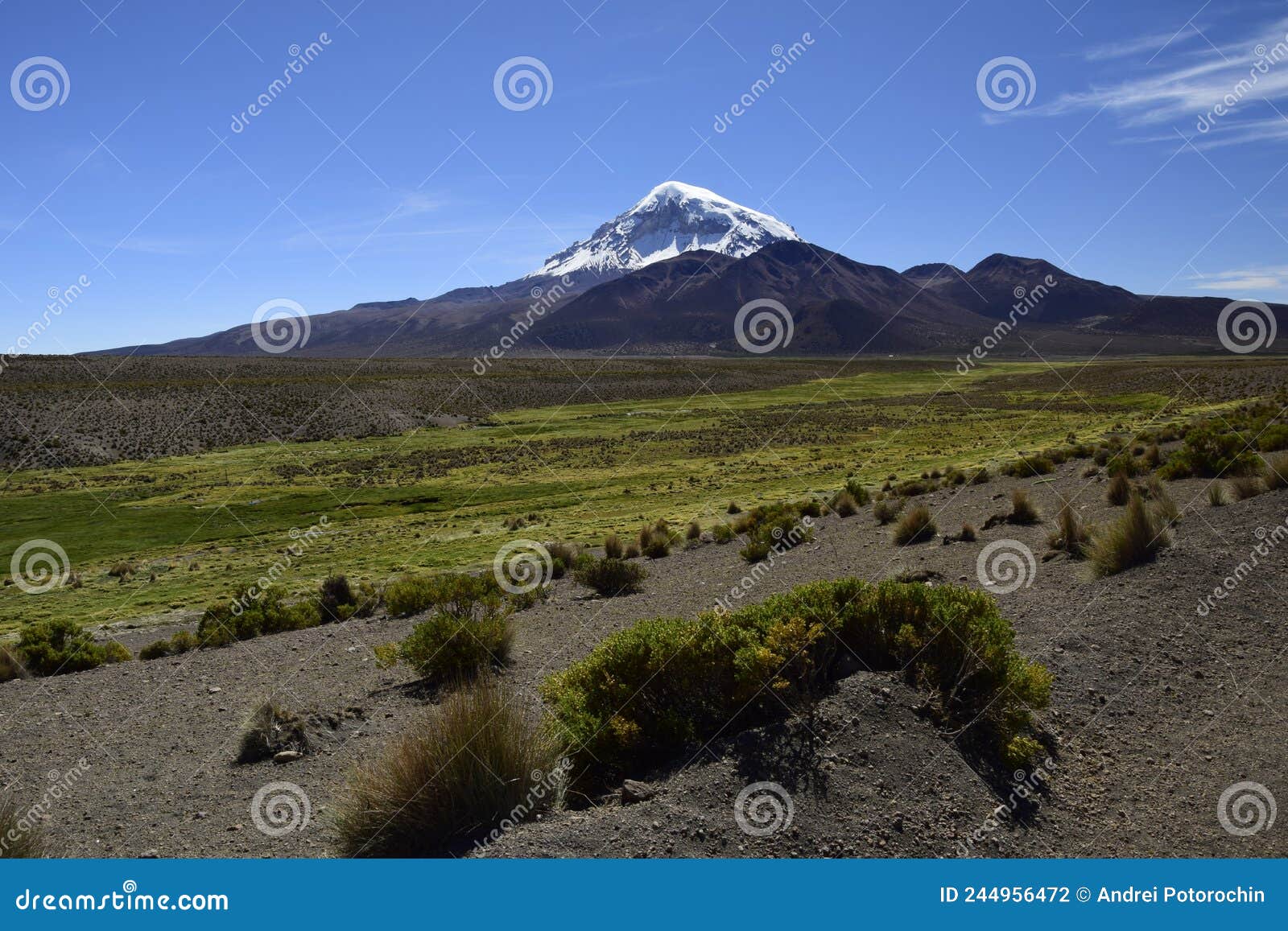 Sajama National Park Surrounded by Snow-capped Mountains with Black ...