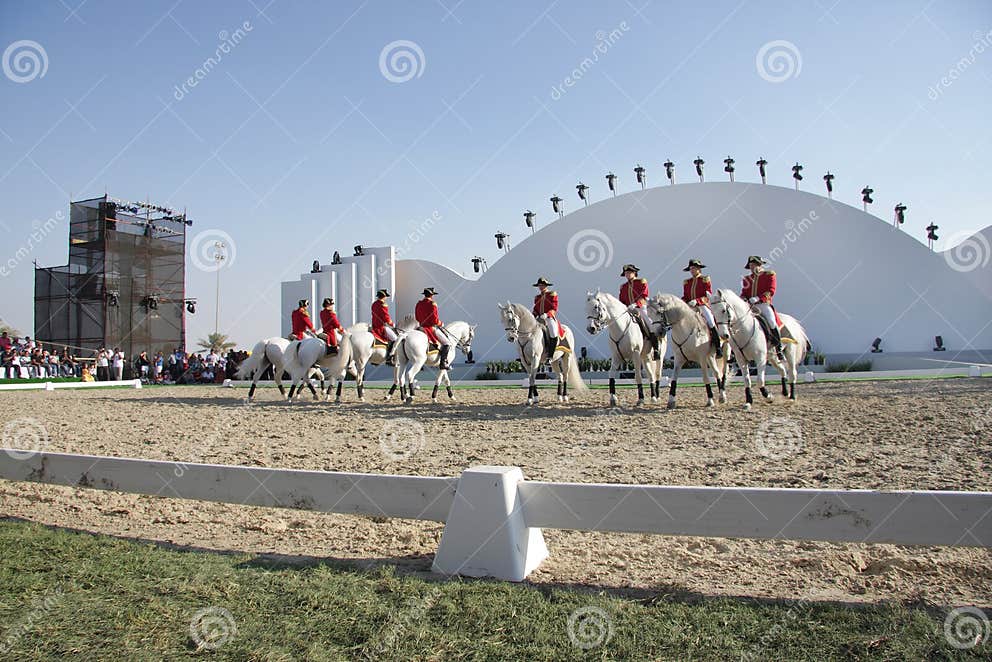 Sakhir, Bahrain Nov 26 Lipizzaner Stallions Show Editorial Photography
