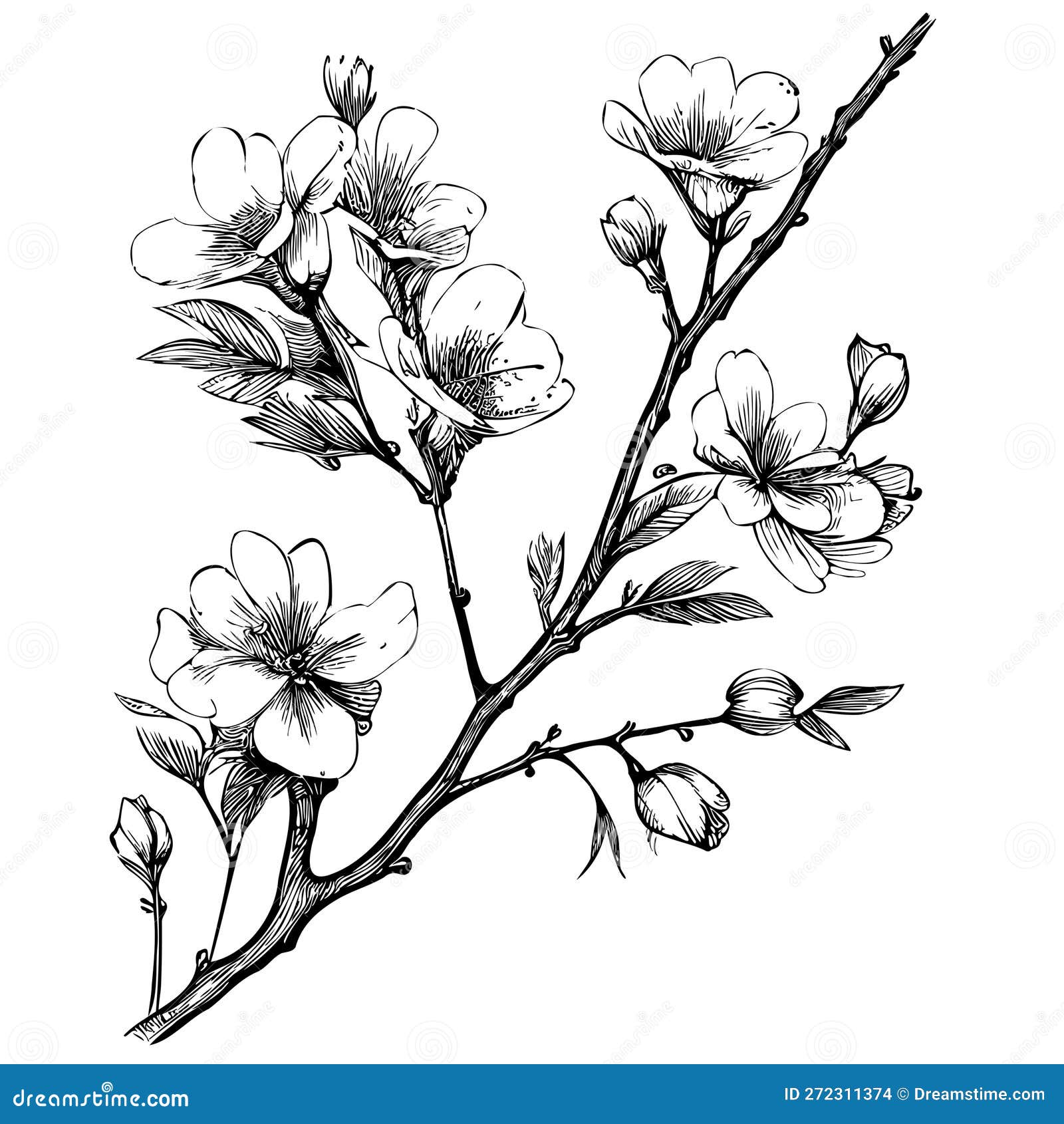 Sakura Branch Sketch Hand Drawn in Doodle Style Vector Illustration ...