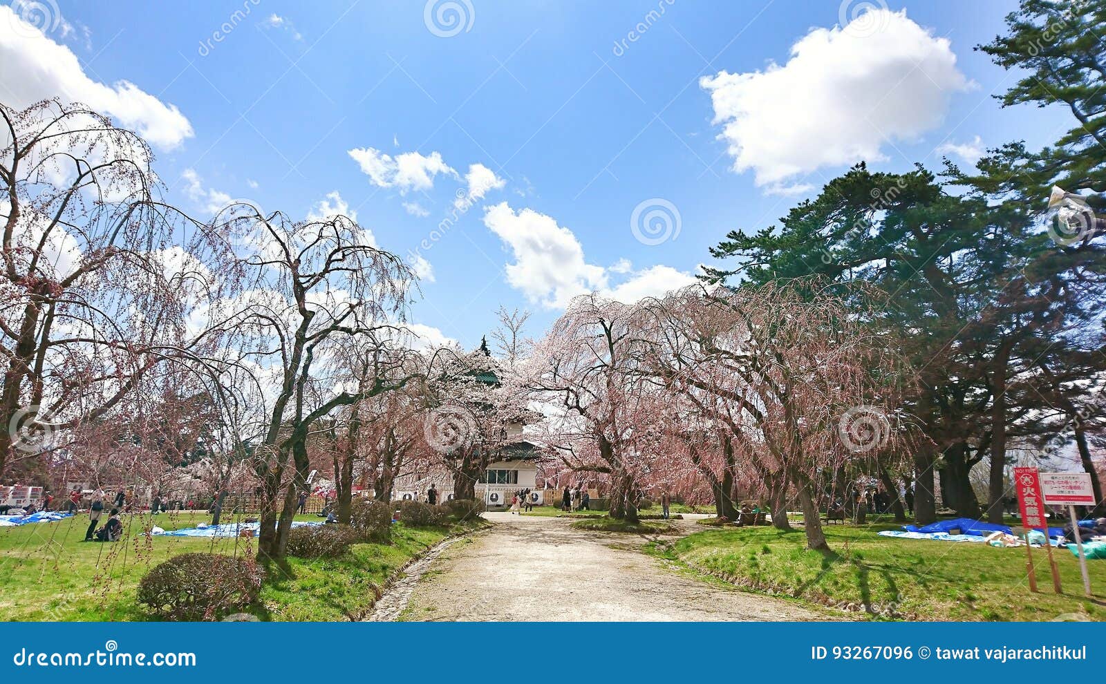 Sakura flod. Sakura2047 hirosaki hokkaido