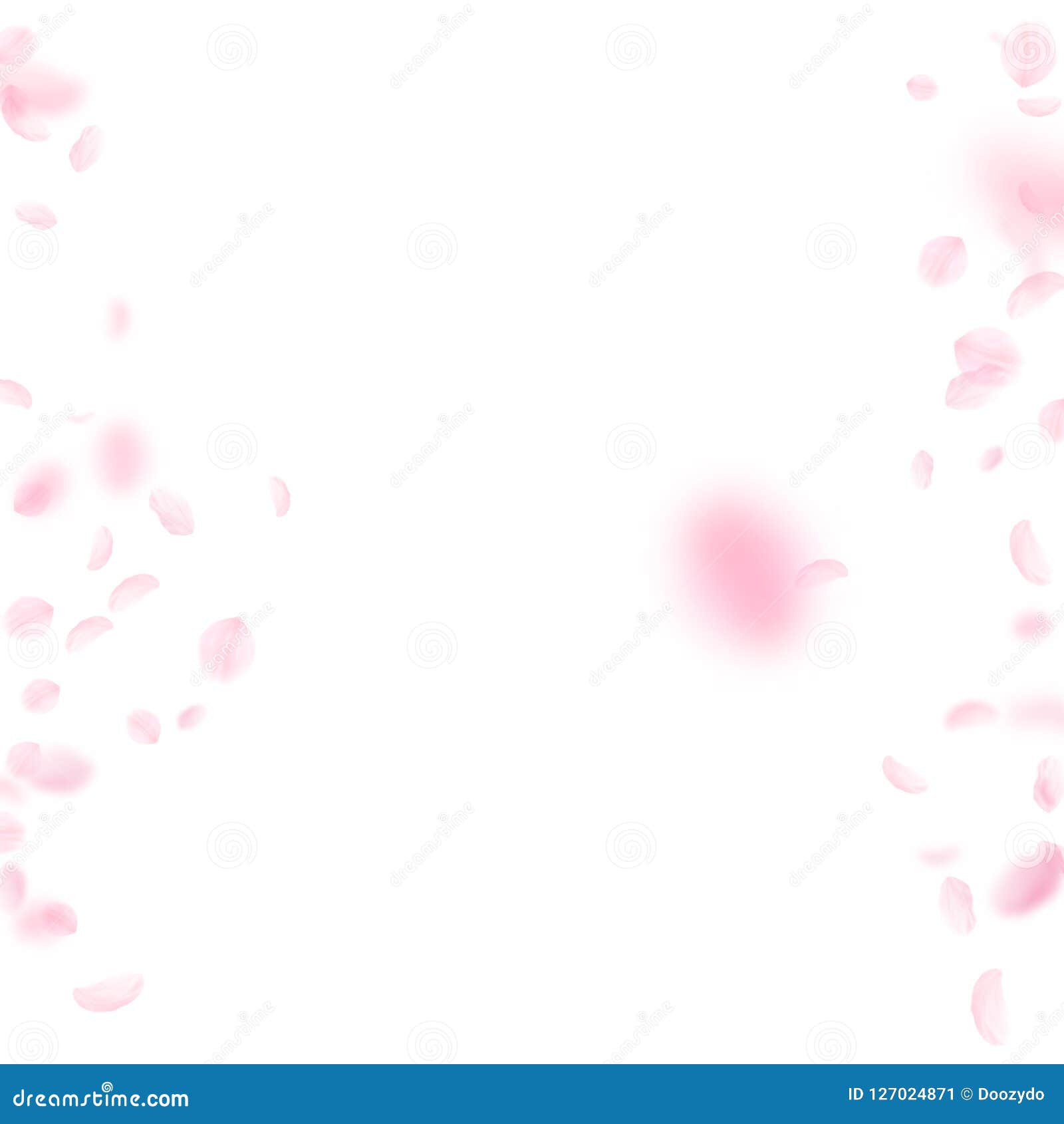 Sakura petals falling down. Romantic pink flowers borders. Flying petals on white square background. Love, romance concept. Overwhelming wedding invitation.