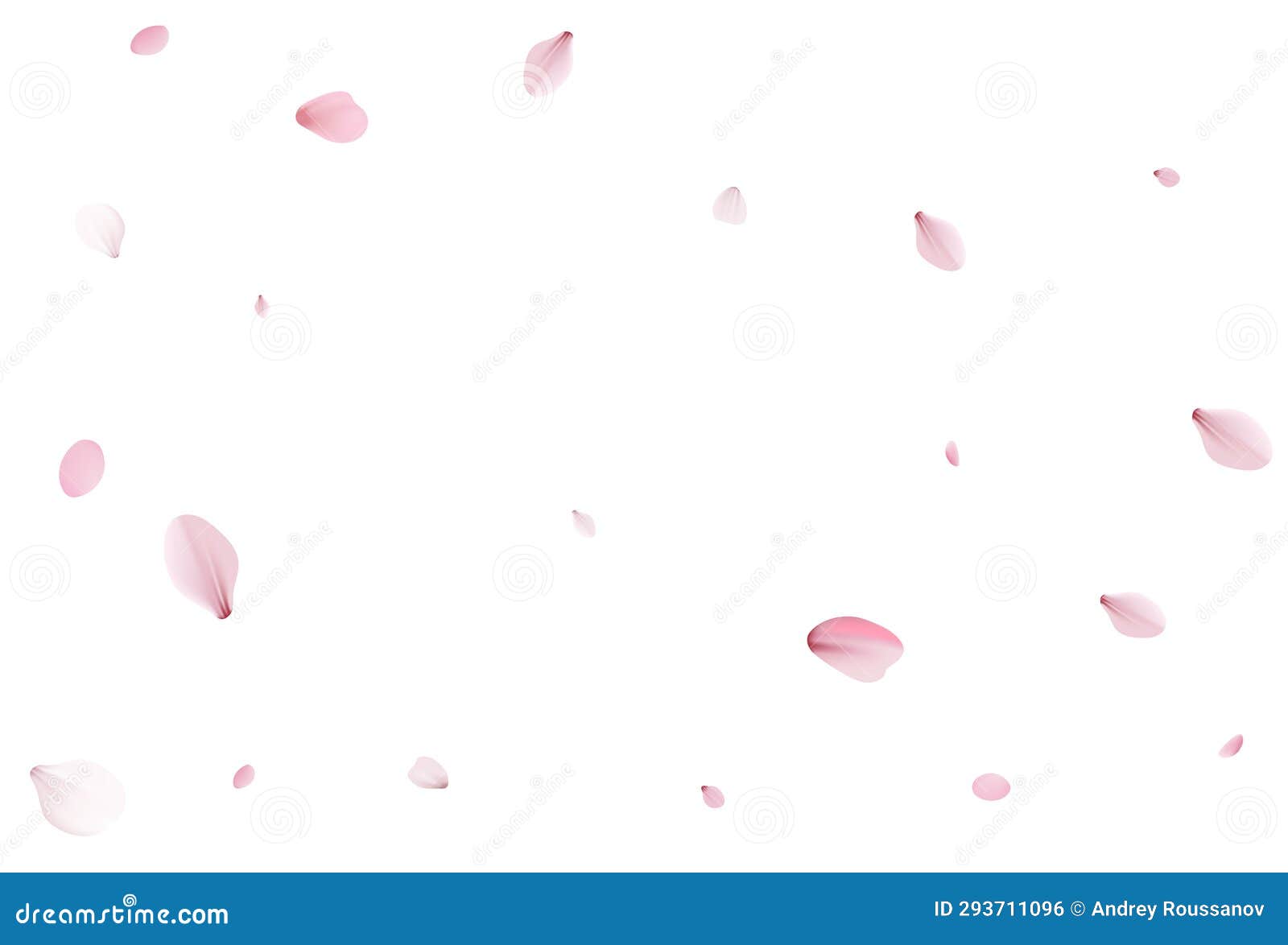 Falling pink sakura petals realistic illustration on transparent