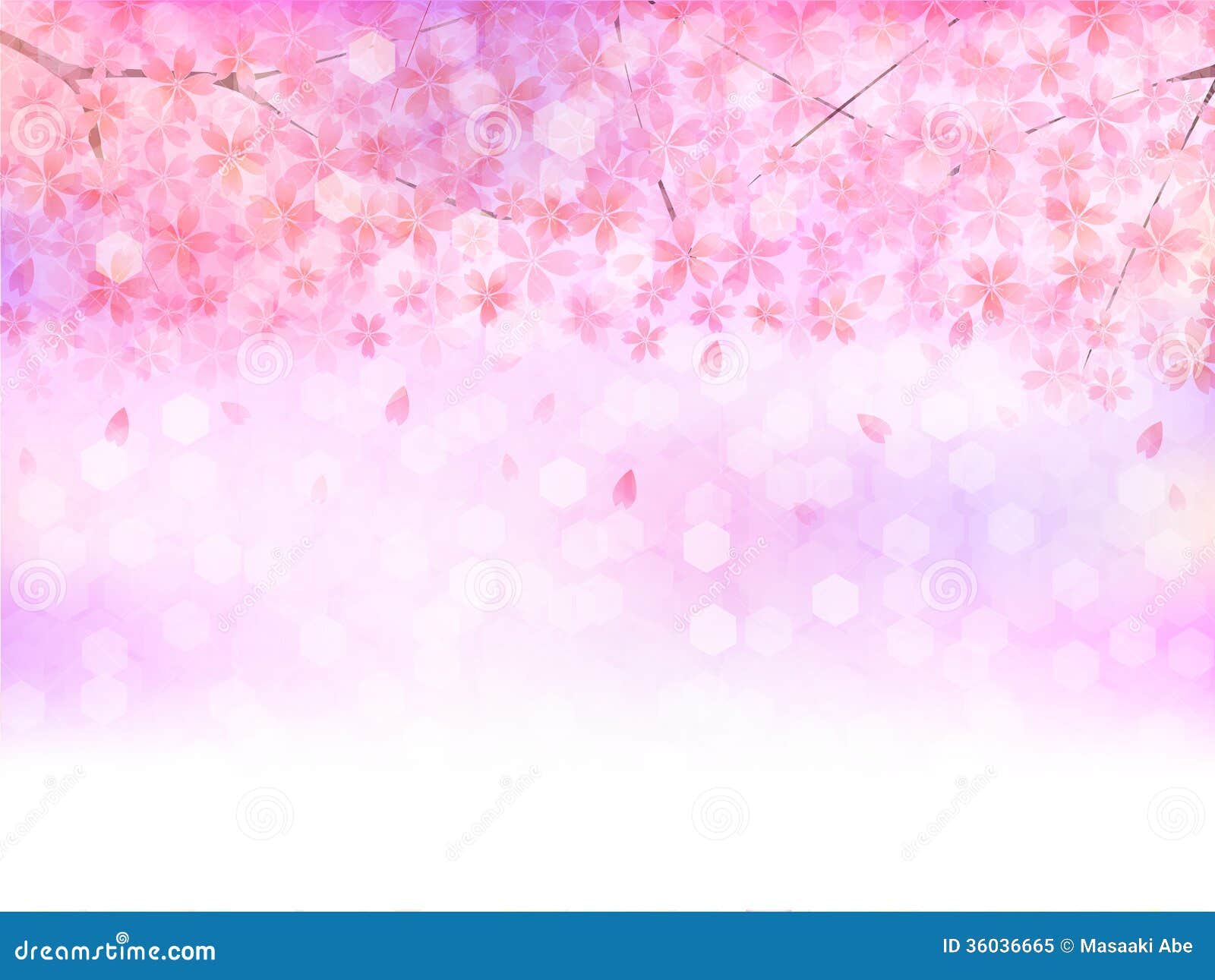 Sakura Sakura spring stock vector Image of light 