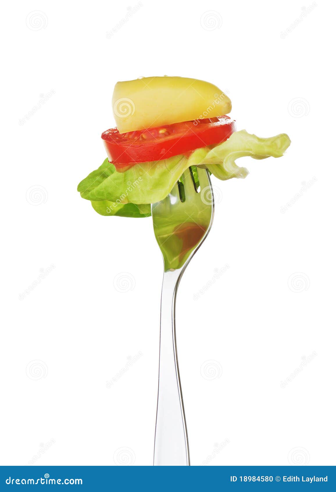 Salad Bite on a Fork stock photo. Image of tomato, healthy 18984580