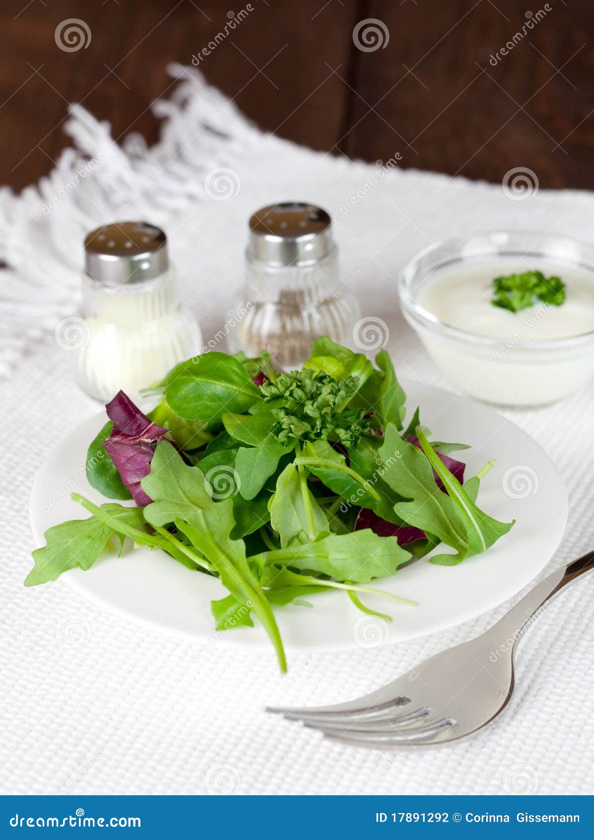 Salad with Dressin Salt and Pepper Stock Photo Image of salt, green 17891292