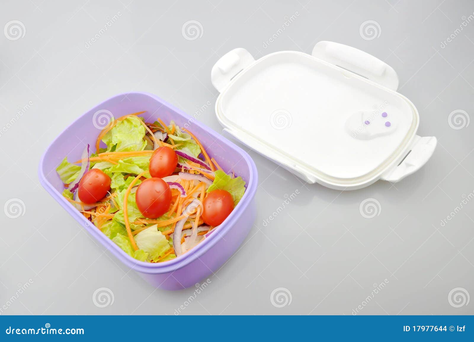 https://thumbs.dreamstime.com/z/salad-food-container-17977644.jpg