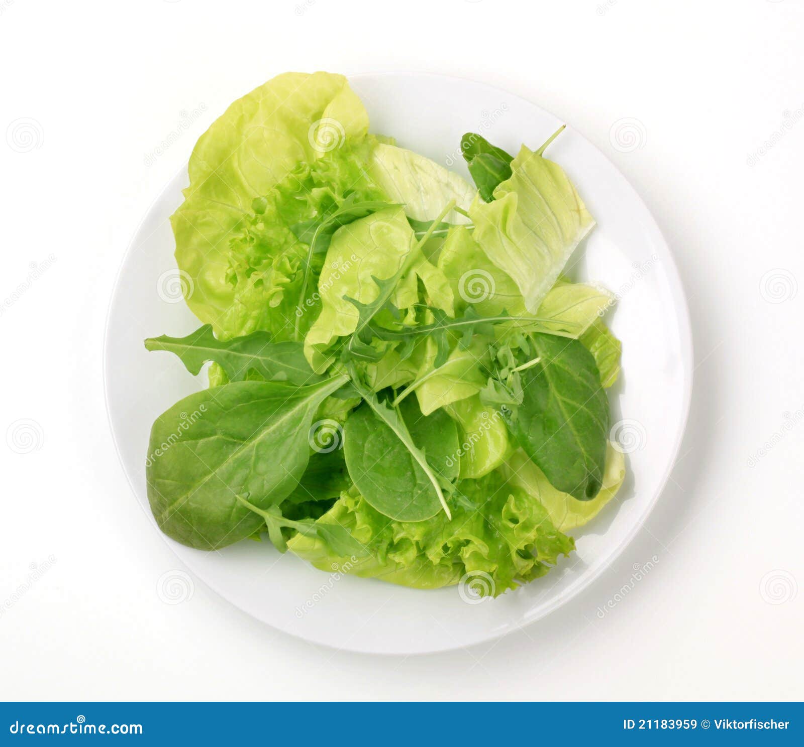 Salad greens stock image. Image of plate, vegetable,
