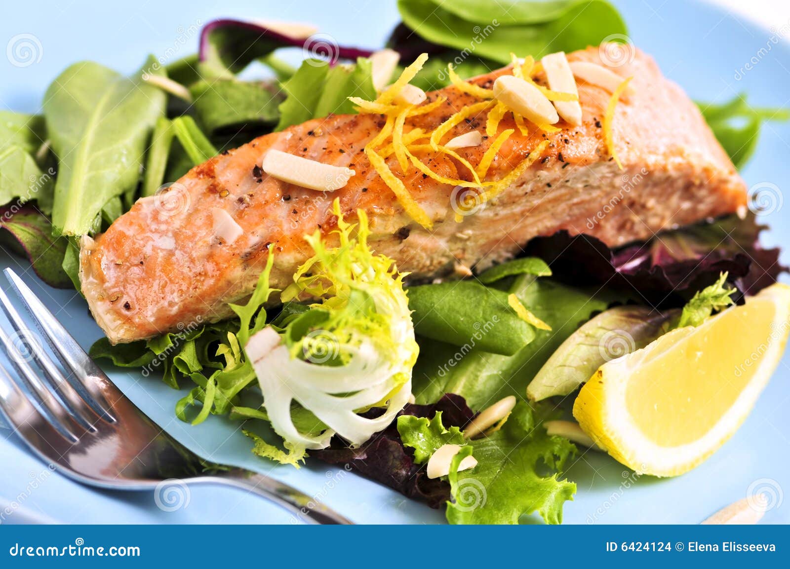 Salad with grilled salmon stock photo. Image of close 6424124