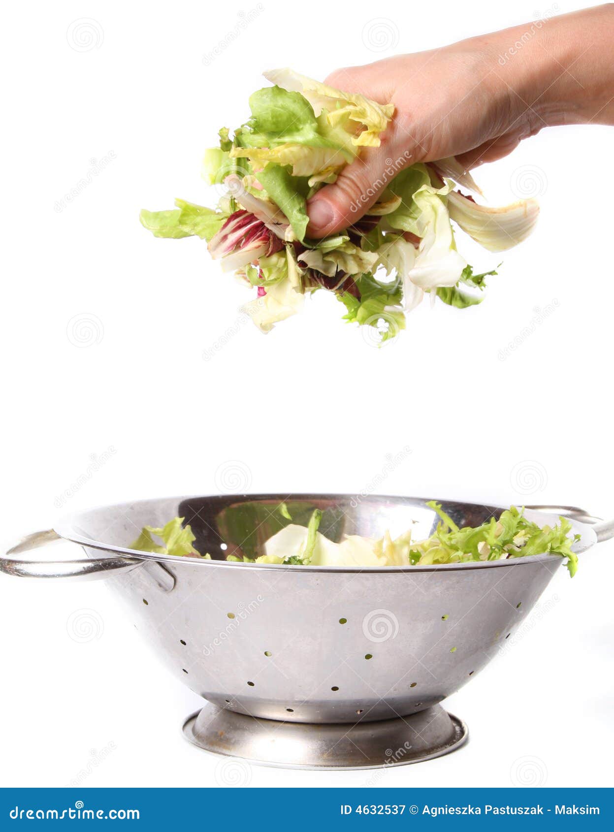 Salad in hand stock image. Image of ingredient, green 4632537