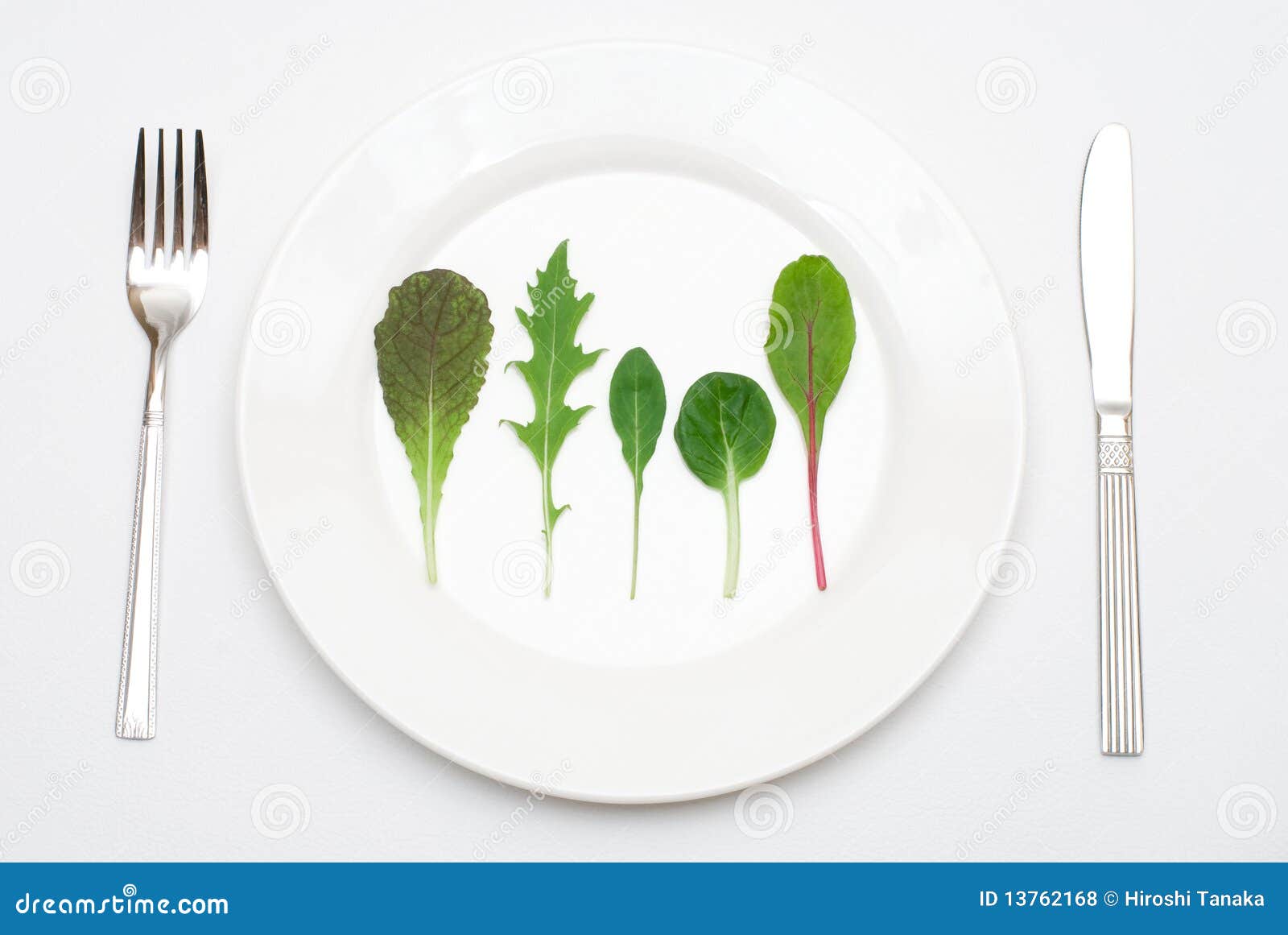Salad leaf on the plate stock photo. Image of leaf, beet 13762168