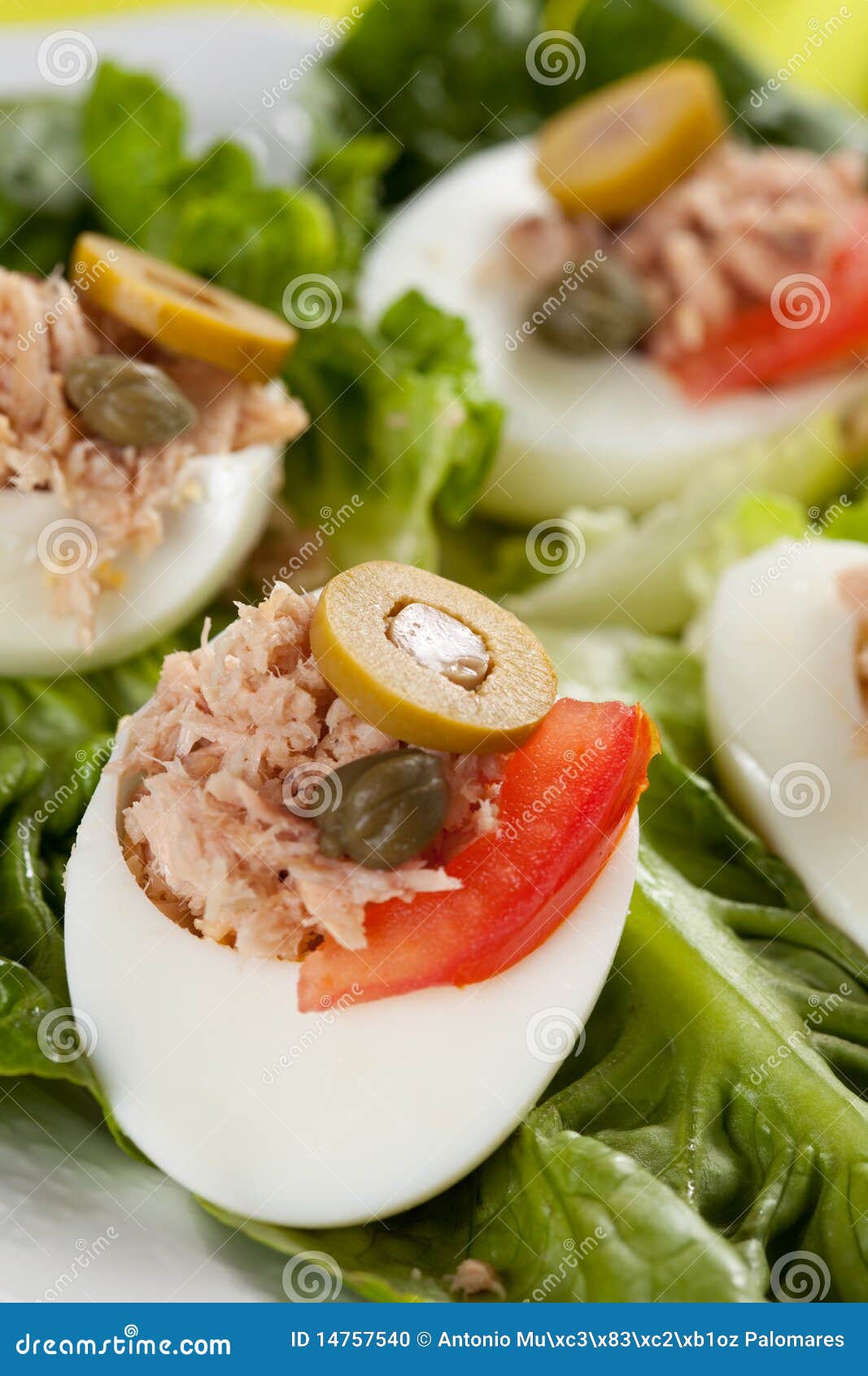Salad of Letuce Egg Tuna and Olive Stock Photo Image of gourmet