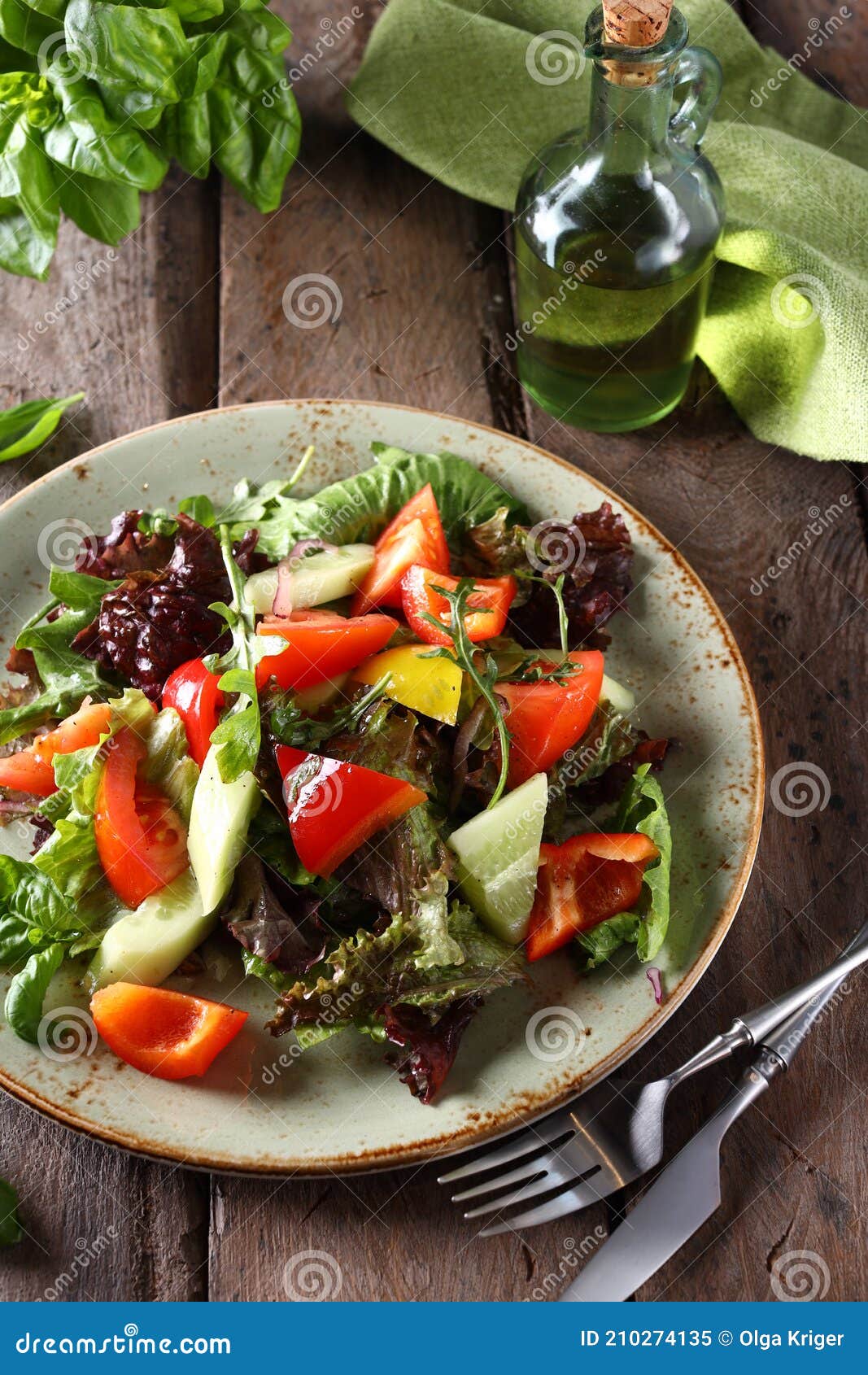 Salad mix with vegetables stock image. Image of dinner 210274135