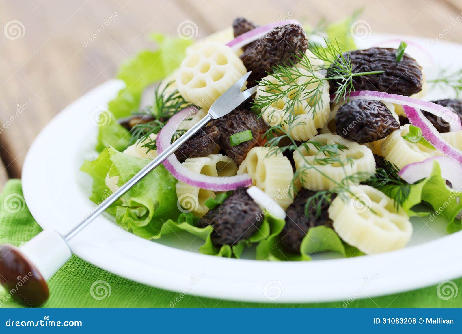 Salad with morels stock photo. Image of herb, domestic 31083208