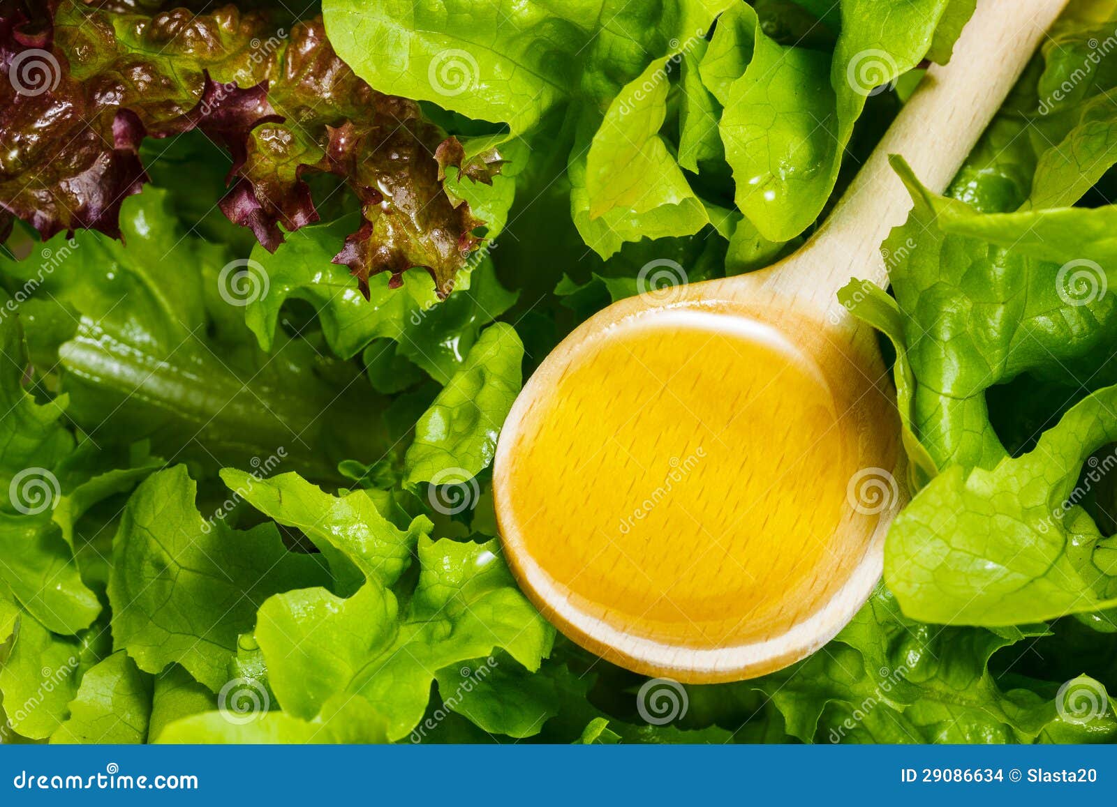 Salad with olive oil stock photo. Image of food, calorie 29086634