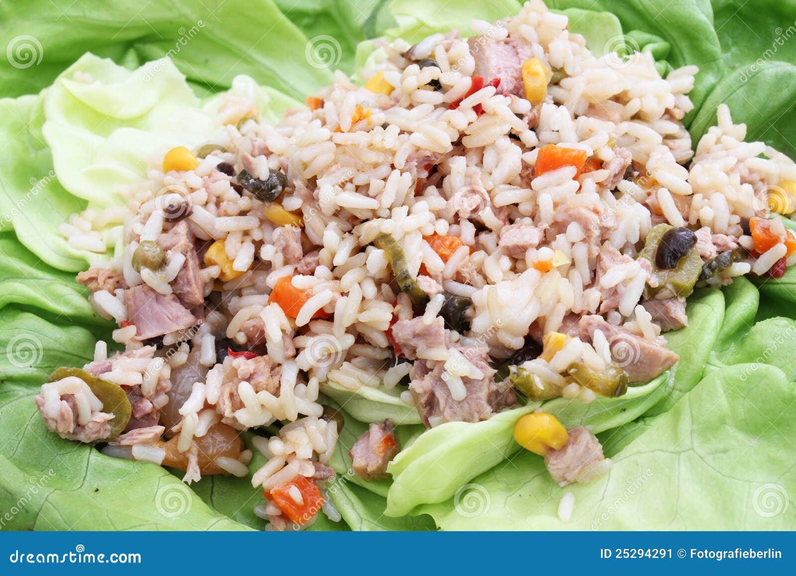 A Salad of Rice and Tuna Fish Stock Image Image of snack, vegetable 25294291