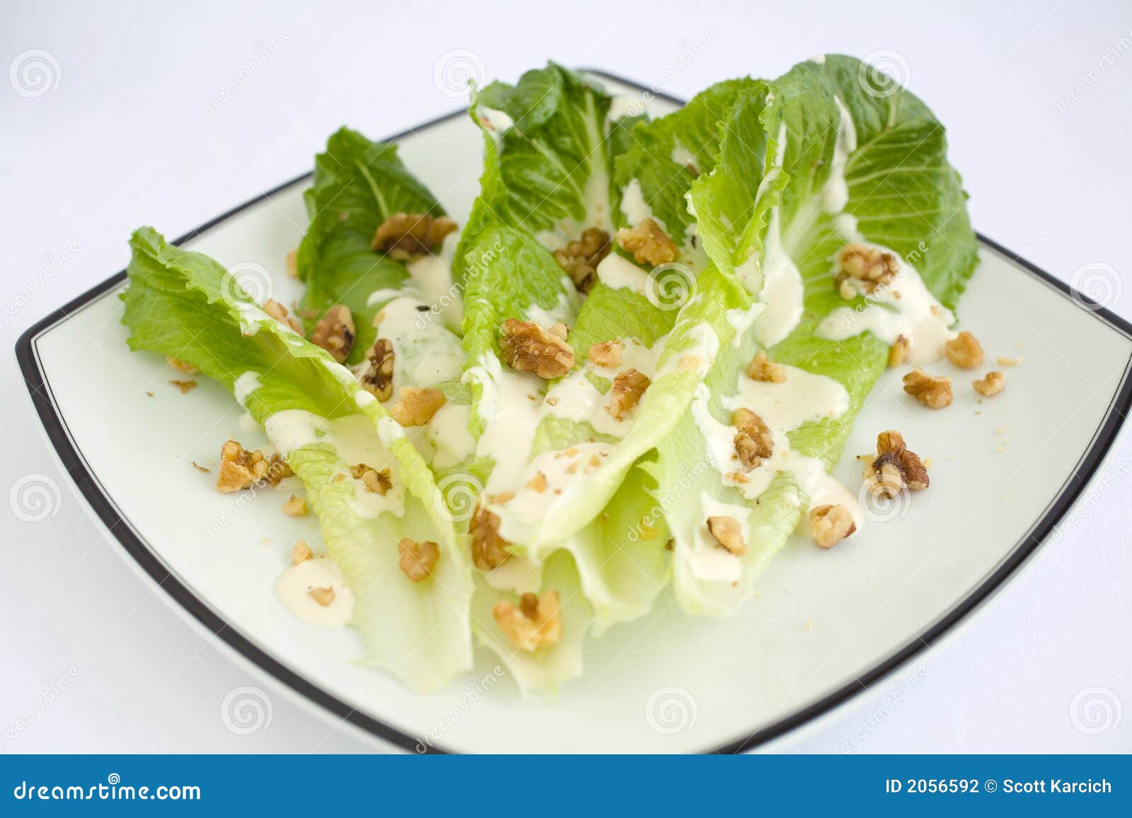 Salad Romaine Lettuce with Ranch Dressing Stock Photo Image of dressing, drizzled 2056592
