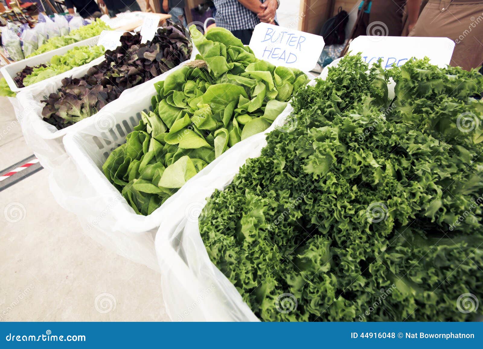 Salad vegetable on sell stock photo. Image of market 44916048