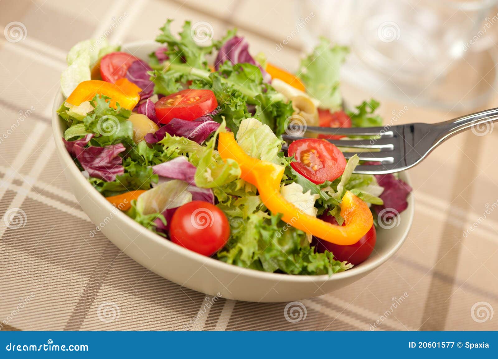 Salad with vegetables stock image. Image of food, diet - 20601577