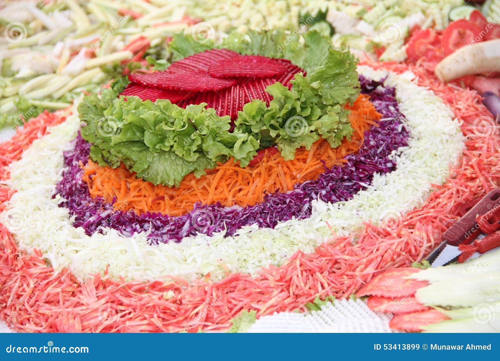 Salad Vegetables stock image. Image of punjab, beautiful 53413899