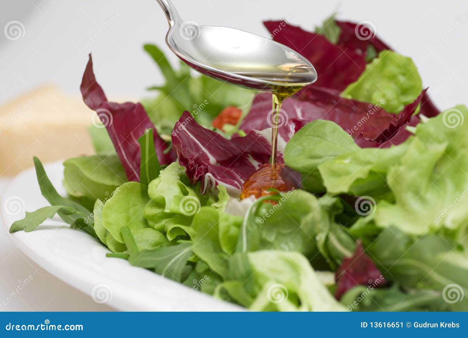 Salad with Virgin Olive Oil Stock Image Image of tomatoes, gourmet 13616651