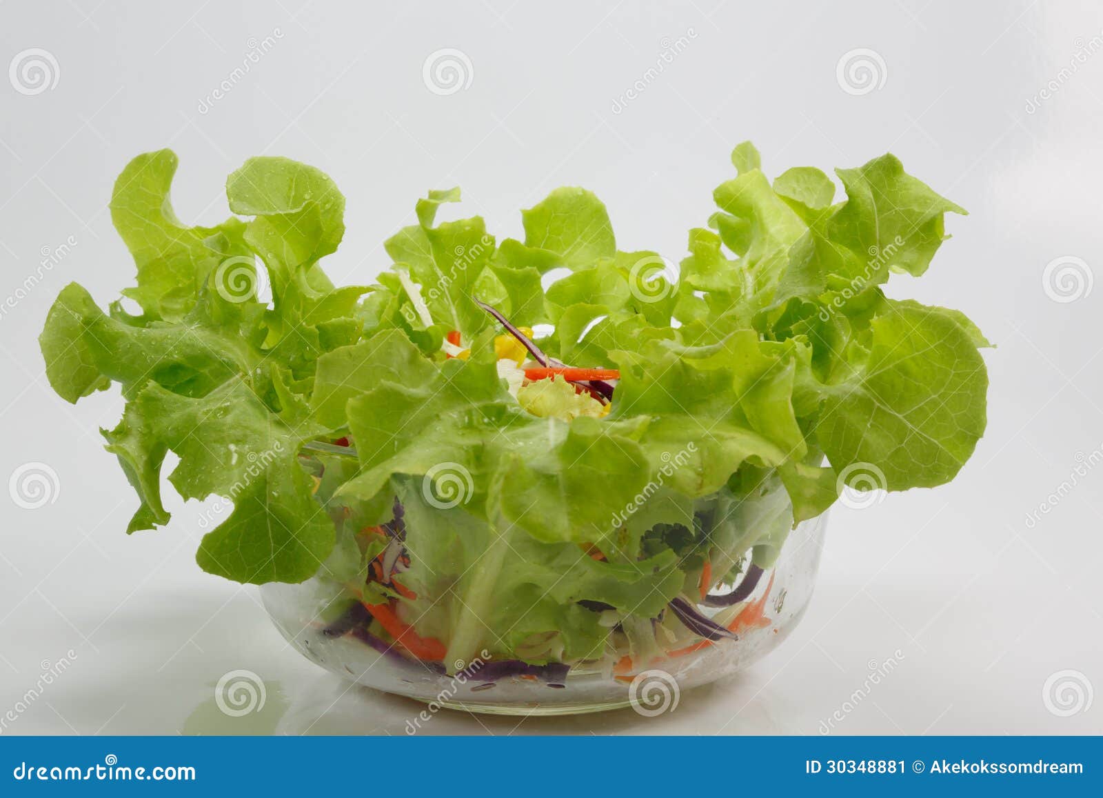 Salad on white background stock image. Image of healthy 30348881